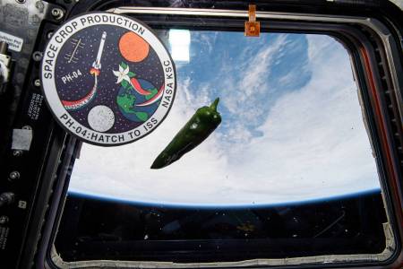 Астронавти предупредиха Том Круз за стряскащо неприятната миризма на МКС