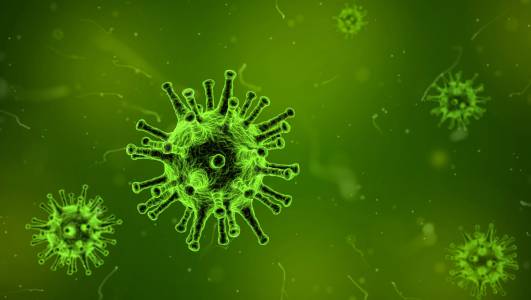 Откриха хиляди нови вируси от типа на новия коронавирус в океана