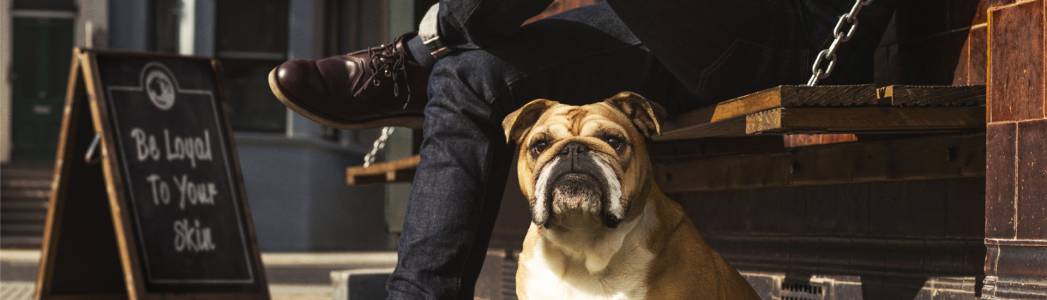 Запознайте се с Bulldog – най-добрия приятел на мъжа