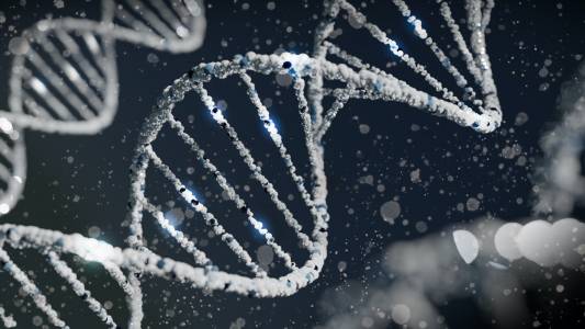 Учени съхраниха данни в ДНК на жива бактерия 