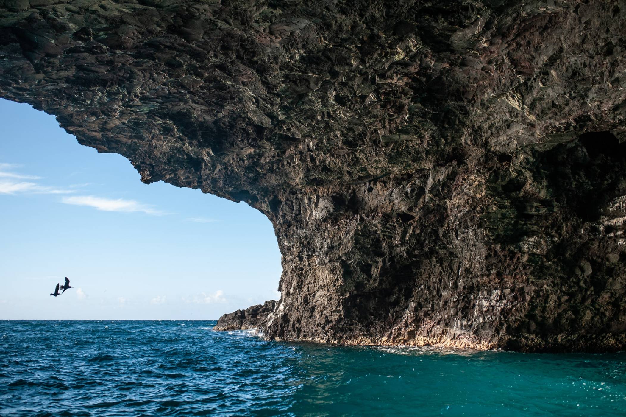 Мистериозни форми на живот обитават древни хавайски пещери 