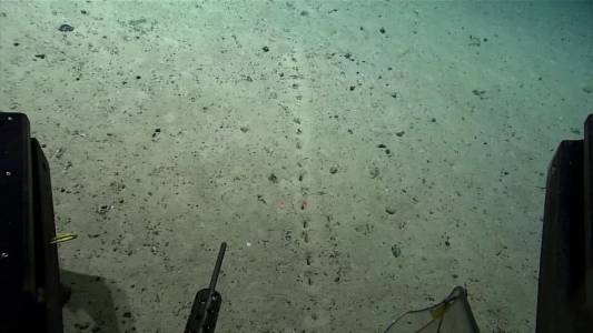 Странни дупки на океанското дъно - портал към мистериозен свят?