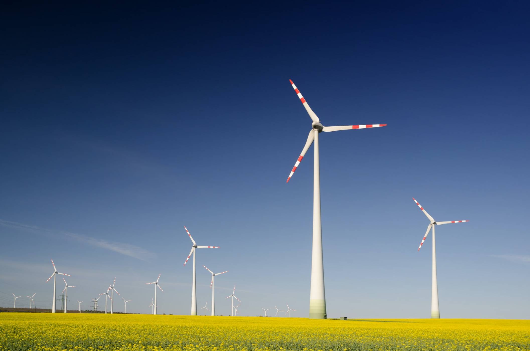 За Илон Мъск бъдещето се основава върху слънчевата и вятърната енергия