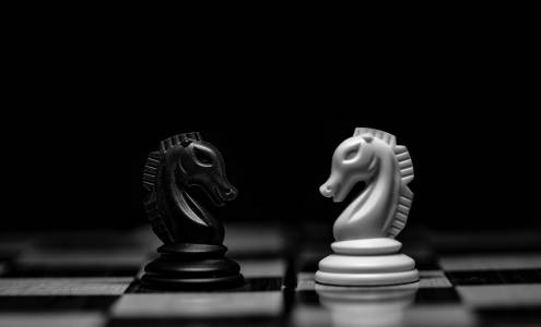 Илон Мъск се намеси в шахматен скандал, обвиняваща победителя във вибрираща измама 