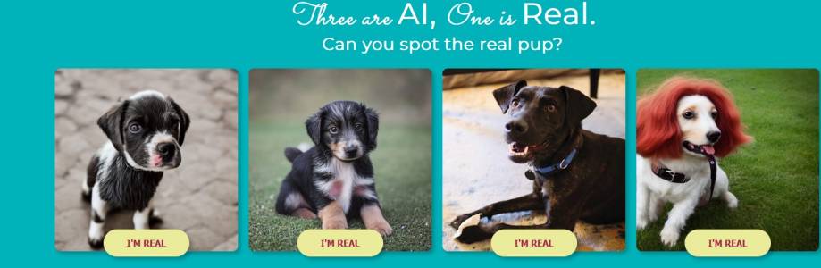 Изправете се срещу AI и докажете, че можете да различите истинското куче в тази игра