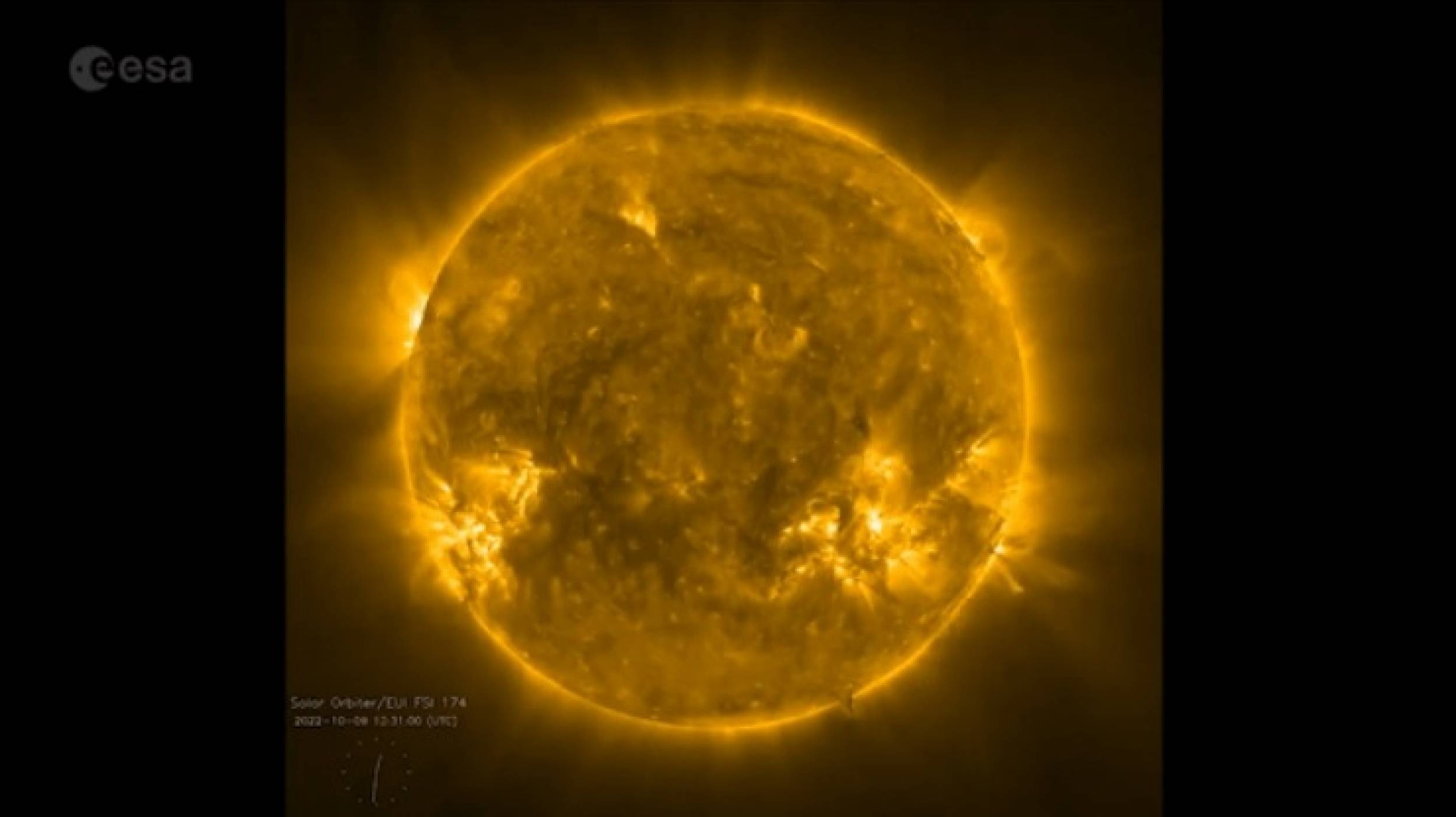 Вижте как огромна змия се плъзга по повърхността на Слънцето (ВИДЕО) 