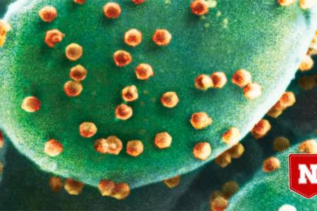 Откриха първия организъм, който яде вируси 
