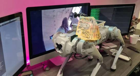Австралийка нападна скъпо куче робот 