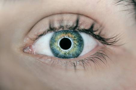 С какъв фреймрейт разполага човешкото око? (ВИДЕО)
