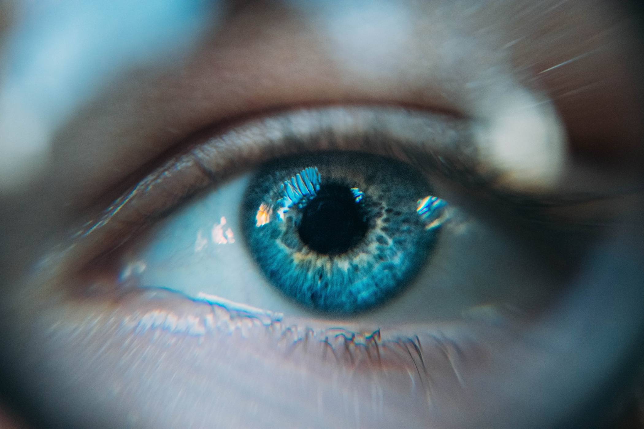 Могат ли снимките с висока резолюция да разкрият неподозирани тайни за човешкото око?  (ВИДЕО)
