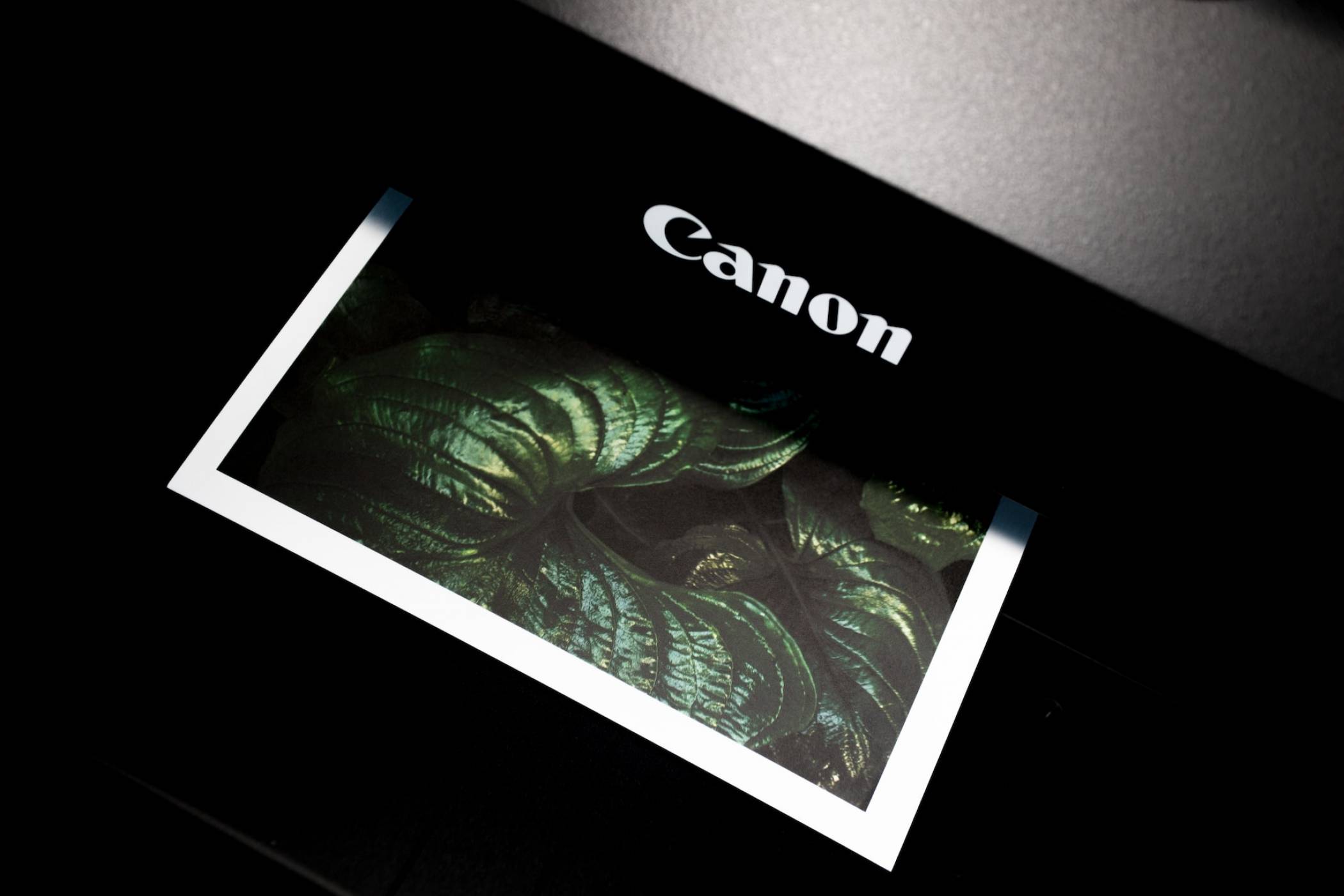 Canon предупреждават да изтривате настройките на остарелите принтери