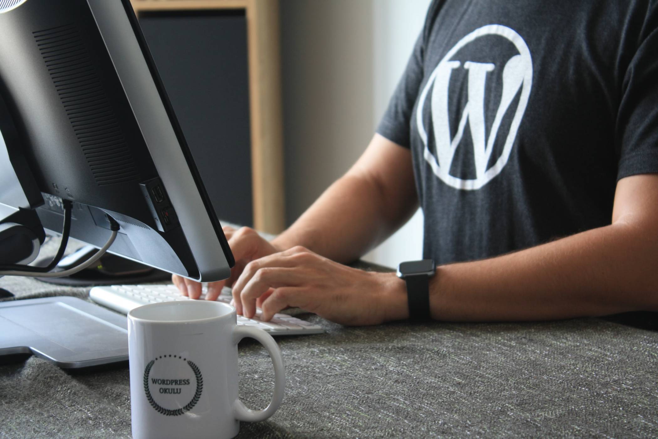 WordPress вече ви позволява да купувате 100-годишни домейни за цифрово дълголетие