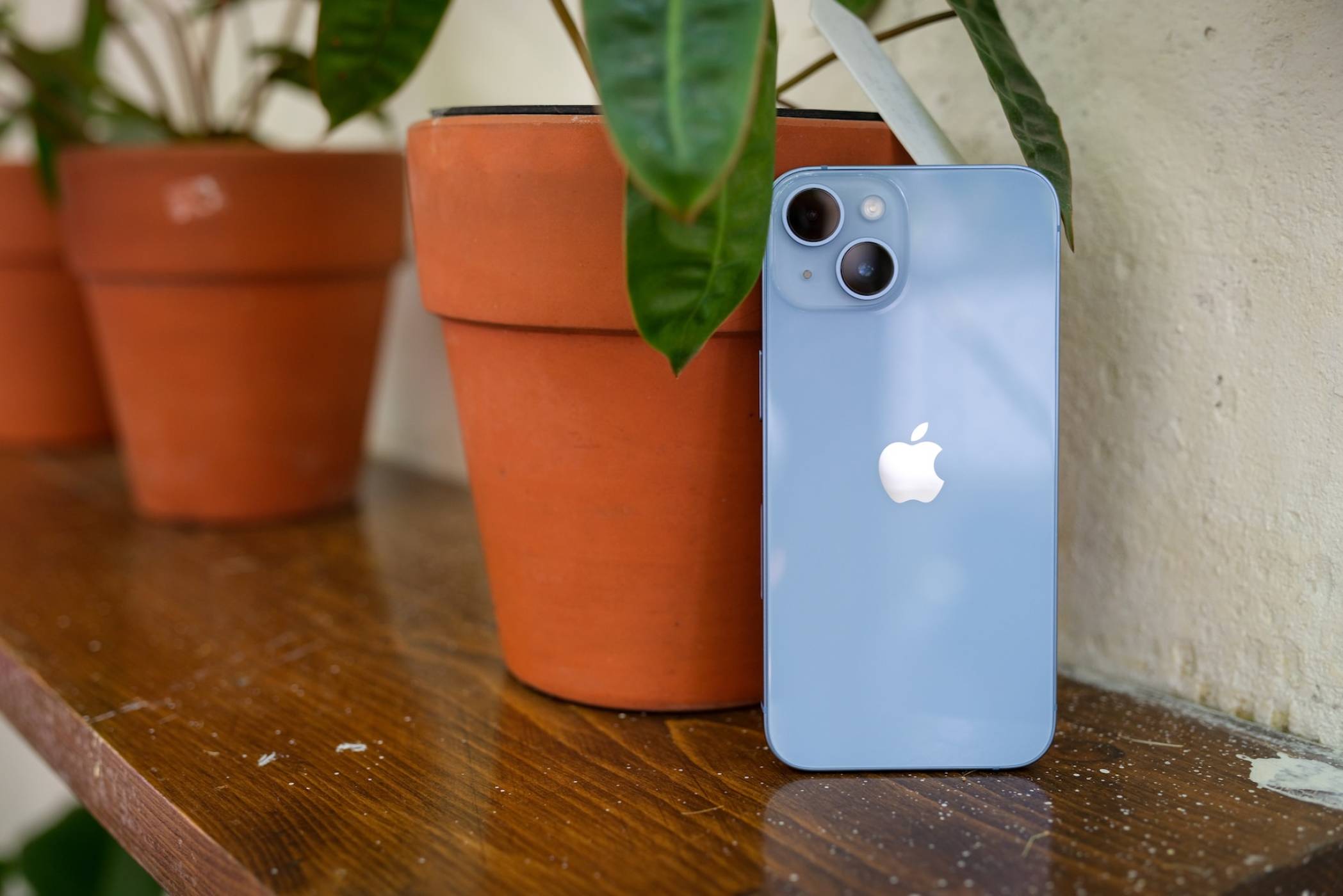 Повечето потребители не се впечатляват от цвета на iPhone 