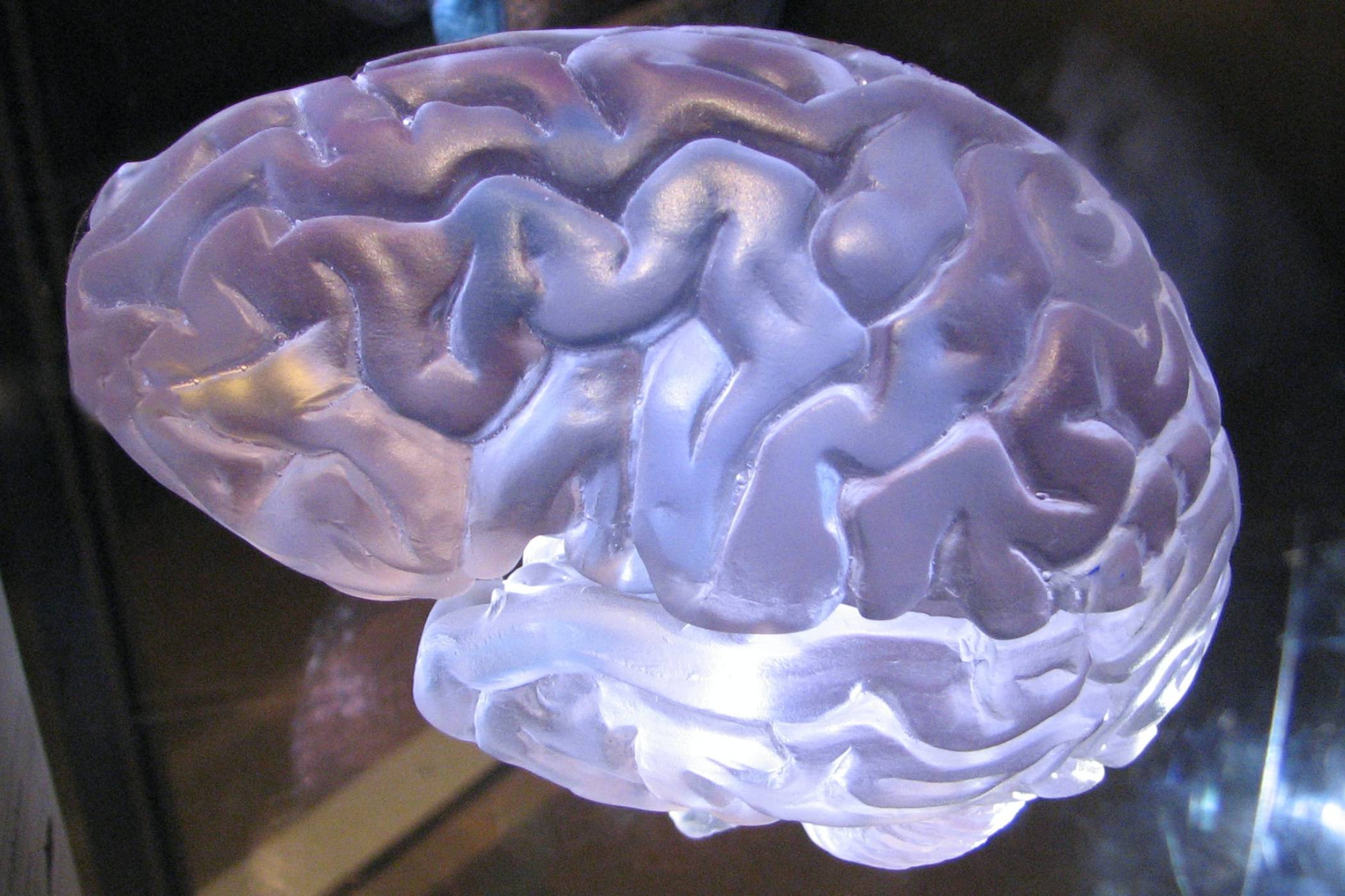 Учените имат лоши новини за онези, които са претърпели сътресение на мозъка в ранна детска възраст 
