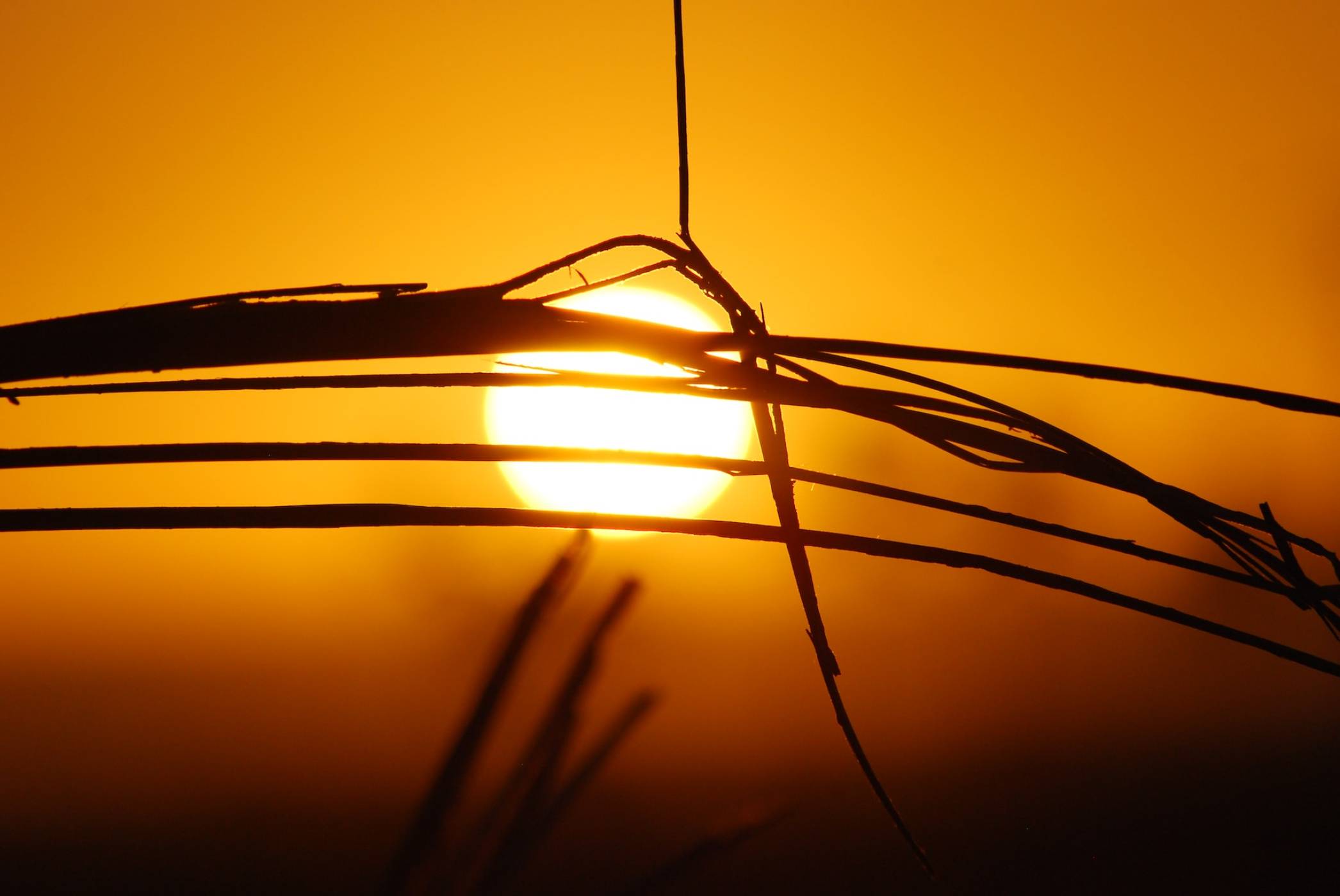 Глобалната температура надхвърли прага от 2 °C за първи път в историята