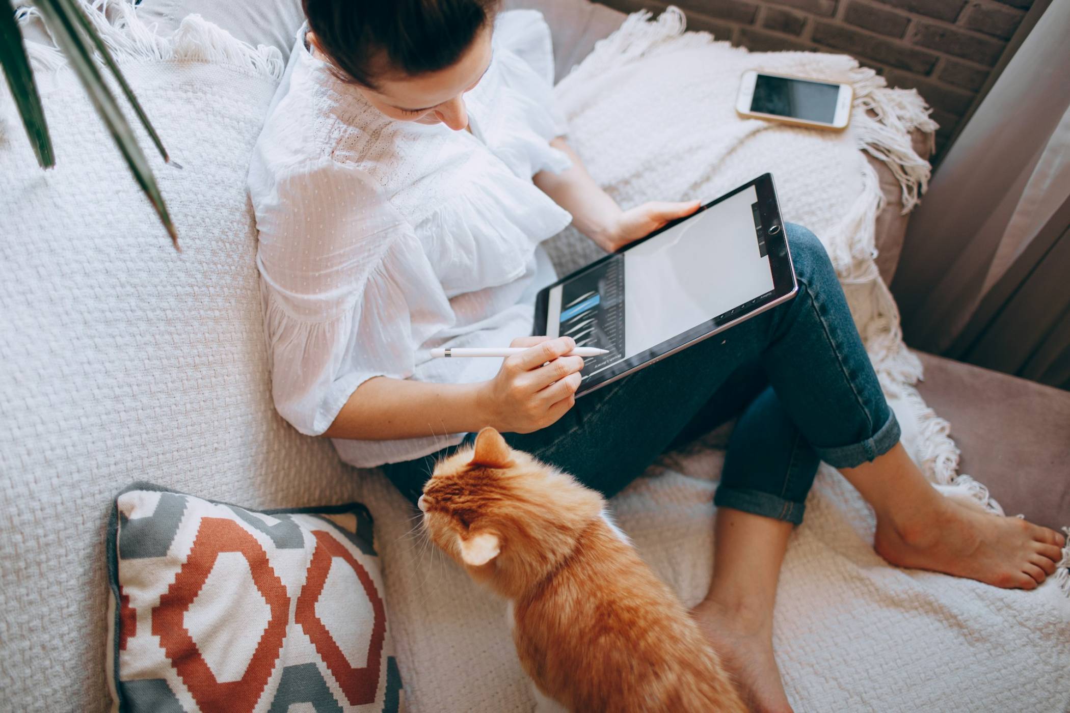 Котка, която се забавлява с iPad, стана хит в TikTok
