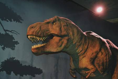 Отпечатъци от динозаври вдъхновяват рисунки на праисторически творци в днешна Бразилия