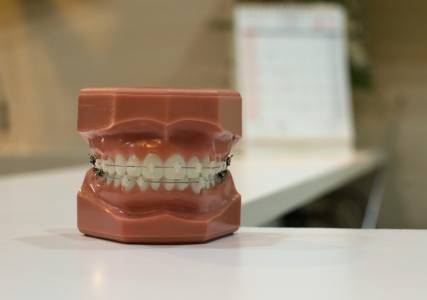 Първото лекарство за израстване на зъби ще бъде дадено на хора през септември 