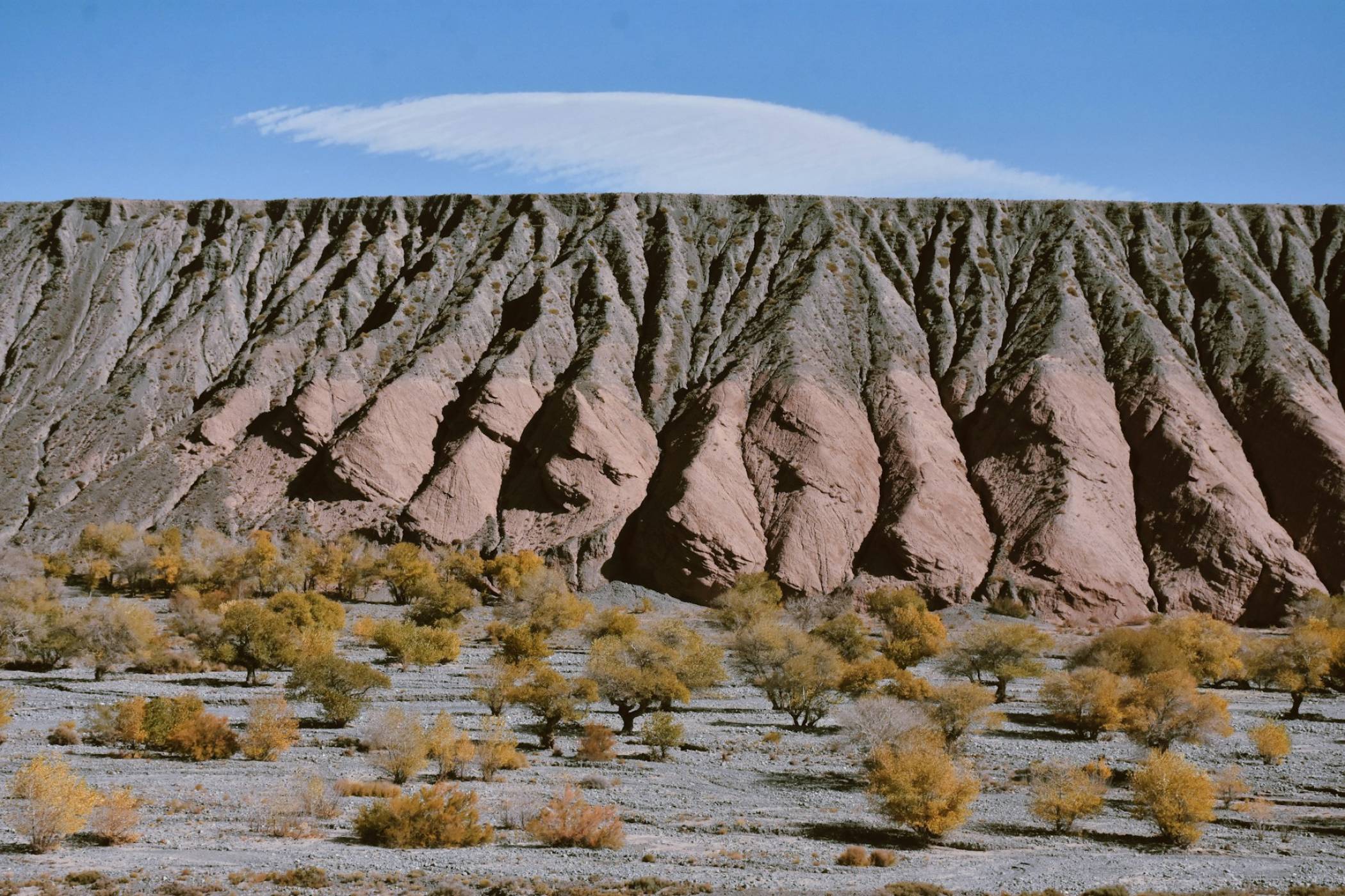 Този план за облагородяване на Марс е толкова луд, че може да сработи