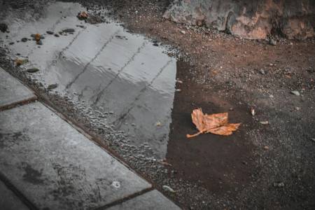 Това е обратното на дежа вю явление и то е дори още по-объркващо 