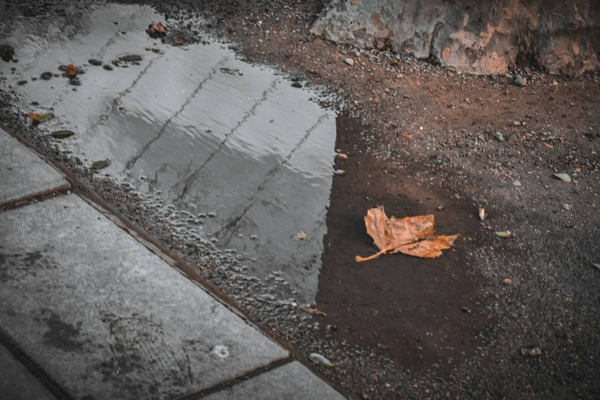 Това е обратното на дежа вю явление и то е дори още по-объркващо 