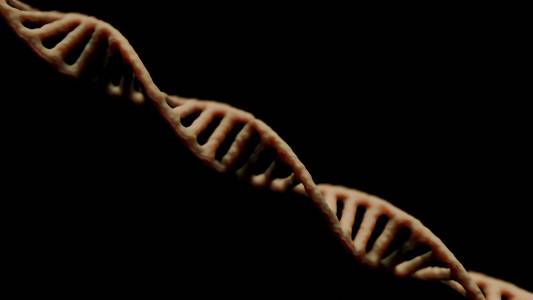 Свръхчовеци съществуват: рядка генетична мутация дава на някои хора феноменално предимство