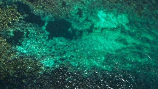 Хиляди симетрично подредени дупки на морското дъно озадачават изследователите