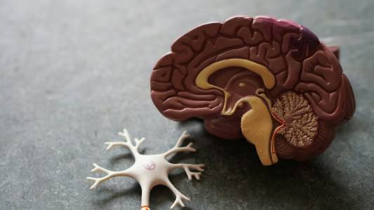 Мъж живее нормален живот въпреки, че липсват 90 процента от мозъка му