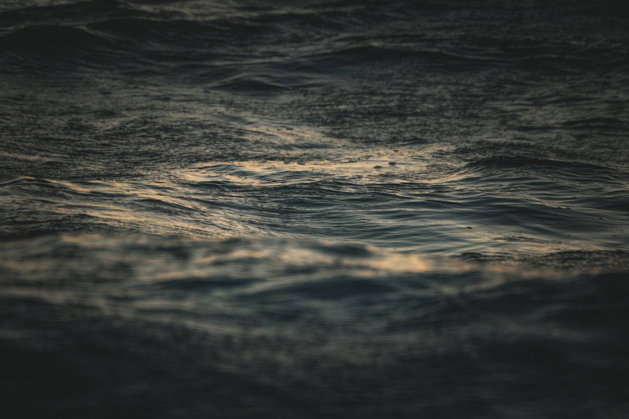 Подобна на извънземно риба с прозрачна глава и зелени очи дебне в тъмните дълбини на океана (ВИДЕО)