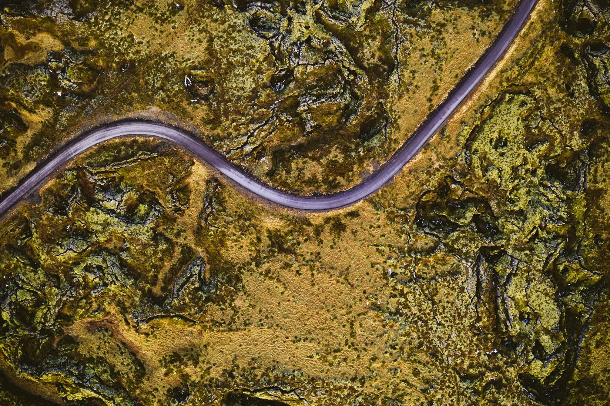 Този паразит може да изключи усещането ви за болка