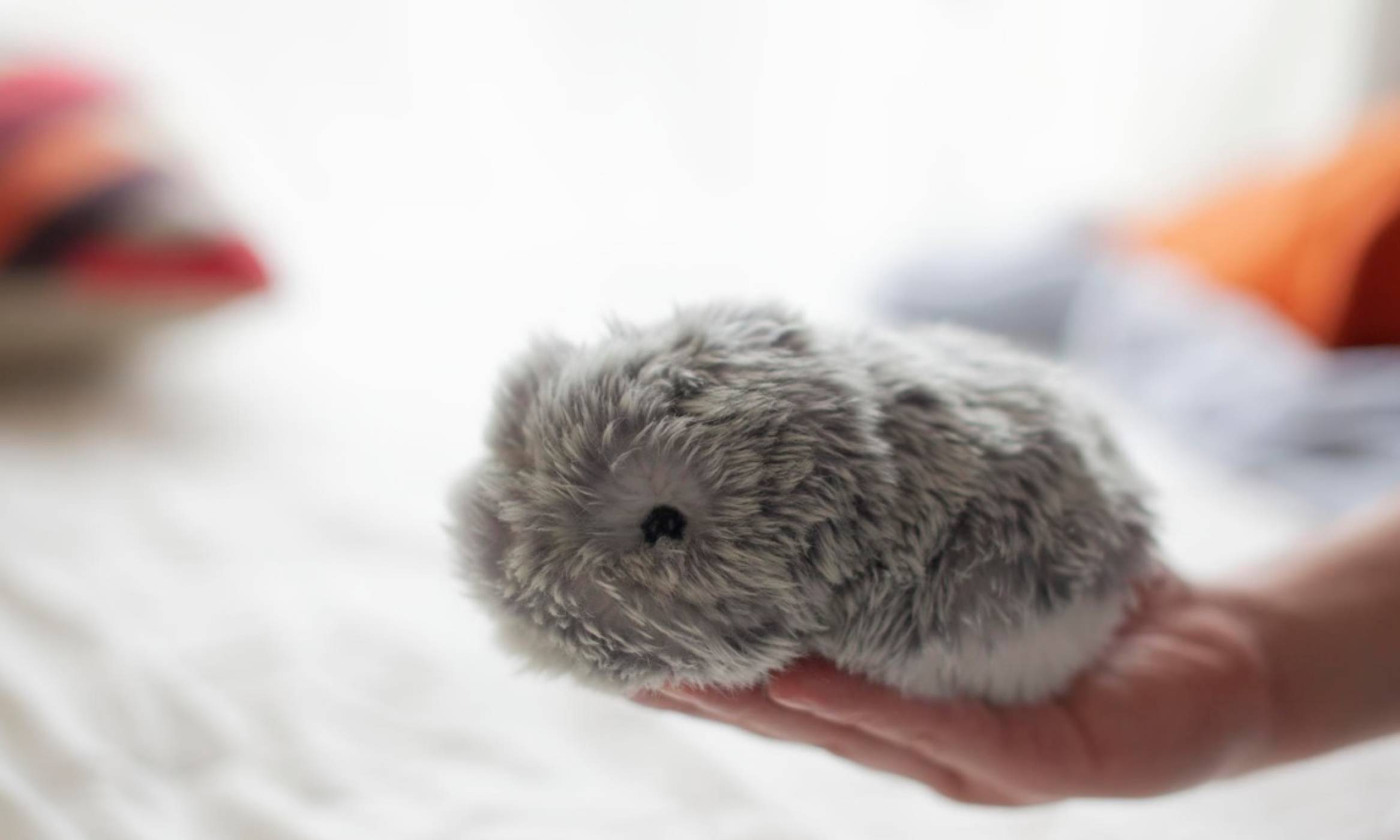 Casio показа Moflin – ИИ домашен любимец, който разполага с над четири милиона емоции  (ВИДЕО)