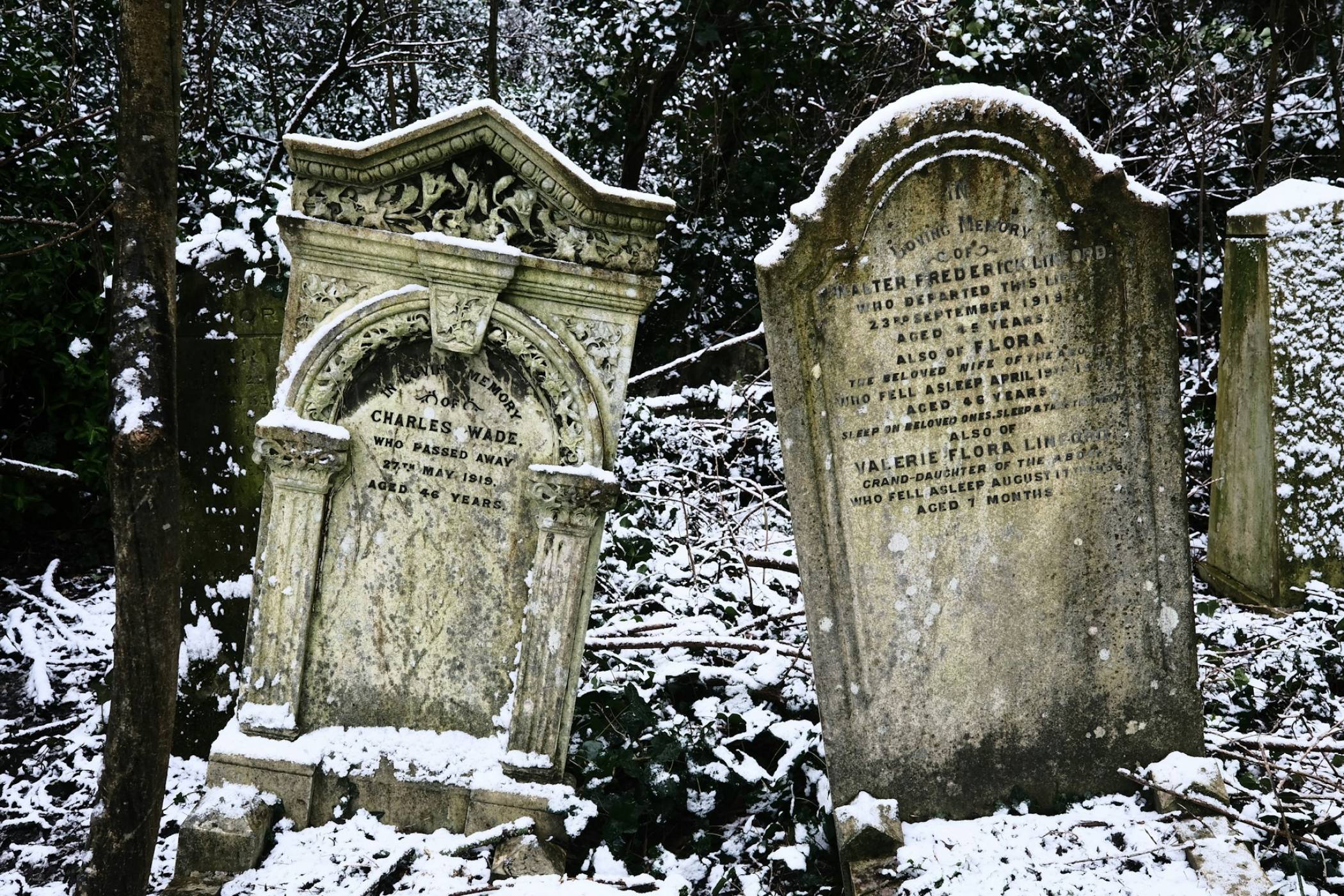 Проучване анализира 38 млн. некролога и откри какво наистина ценят американците в живота