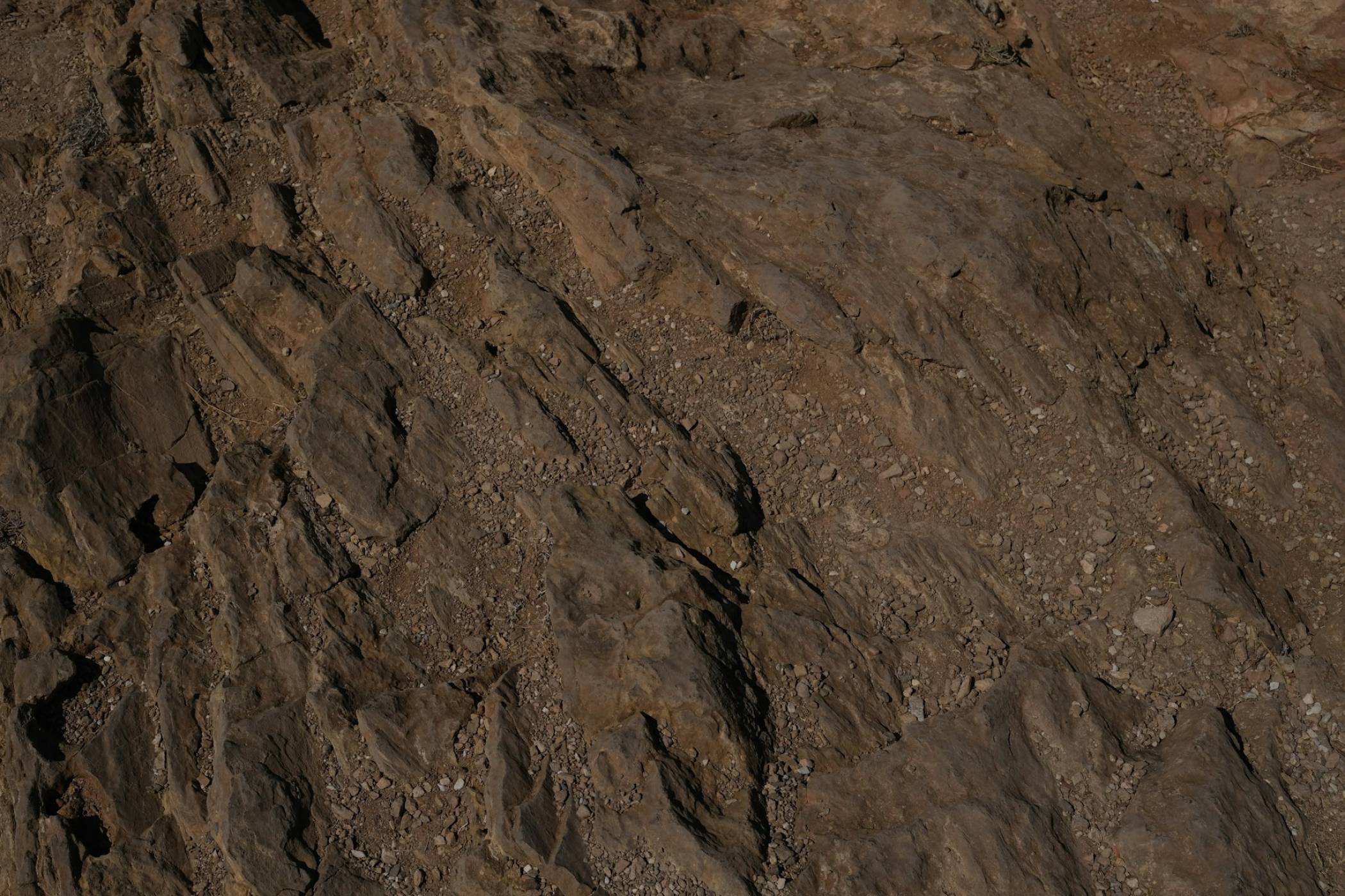 NASA откри най-ясните признаци на живот на Марс, на които някога сме се натъквали