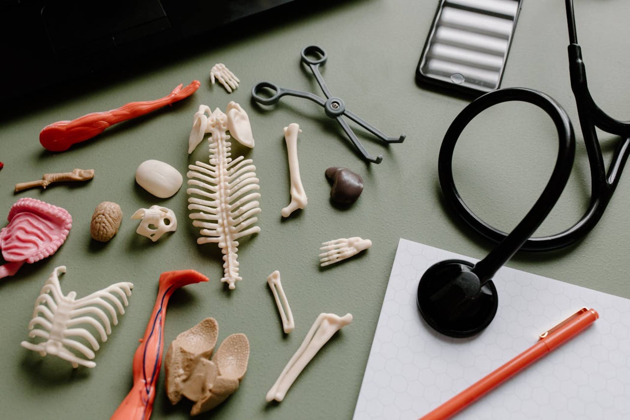 Според Илон Мъск: До 3 години ИИ ще обезсмисли следването на медицина