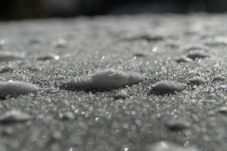 Почвен организъм, способен да замразява вода, който може да се окаже ключ към манипулирането на времето