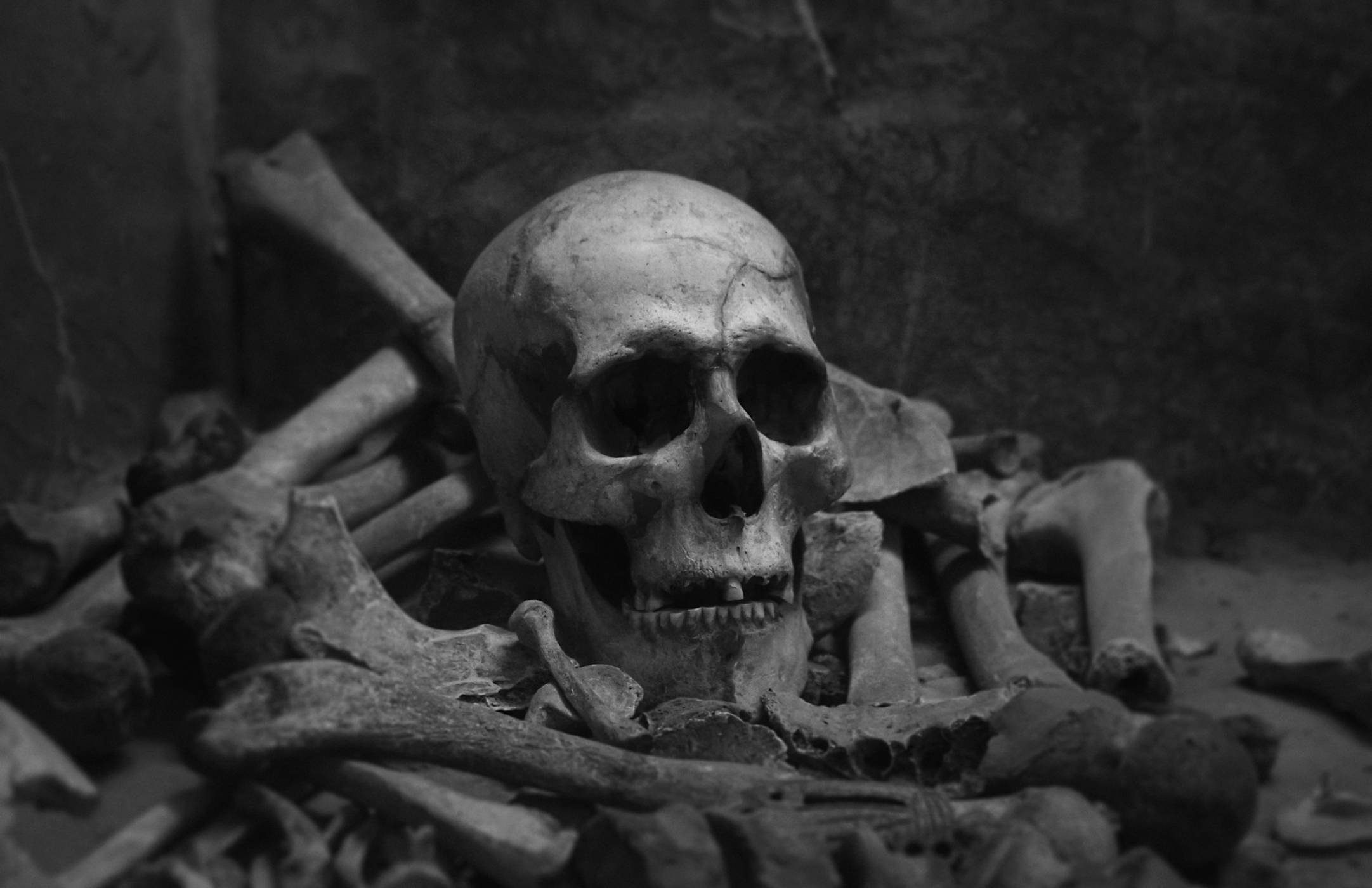 Скелети на 7000 години от Сахара имат ДНК, която не принадлежи на нито един съвременен човек
