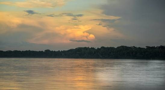 350 км древни пътища отпреди 2700 години опасват уж непроходимата джунгла на Амазонка