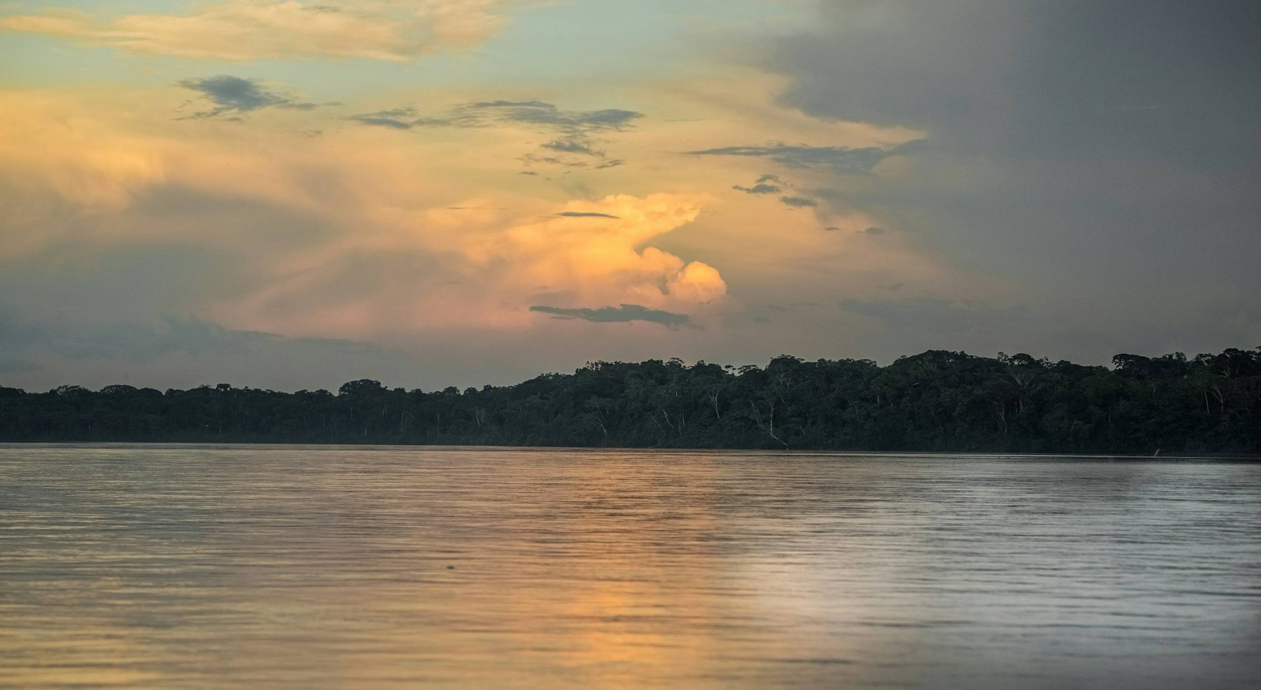 350 км древни пътища отпреди 2700 години опасват уж непроходимата джунгла на Амазонка