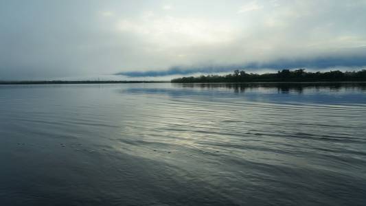 Амазонка е втората най-дълга река в света, но на нея няма нито един мост и това е причината