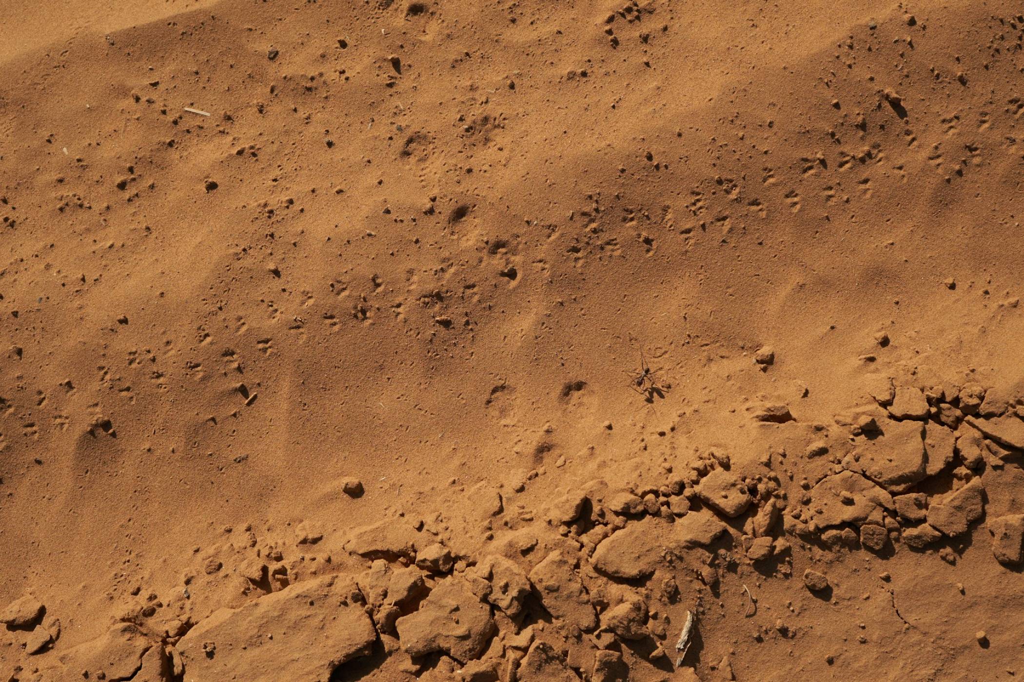 Новият марсоход на NASA навъртя 25 км за седмица: 10 пъти по-бързо от всяка техника на Червената планета досега