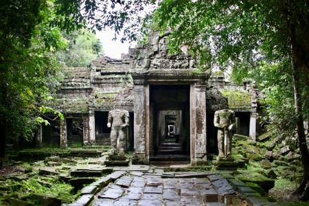 Роботизиран Харисън Форд ще е следващата атракция на атаркцията Indiana Jones на Disney