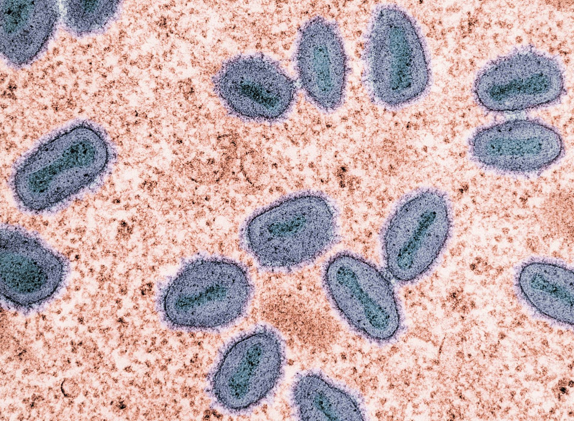Разкриха тайна на ранния живот, убягвала ни 3.7 милиарда години